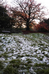 Hampstead Health