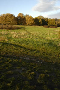 Hampstead Health