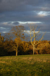 Hampstead Health